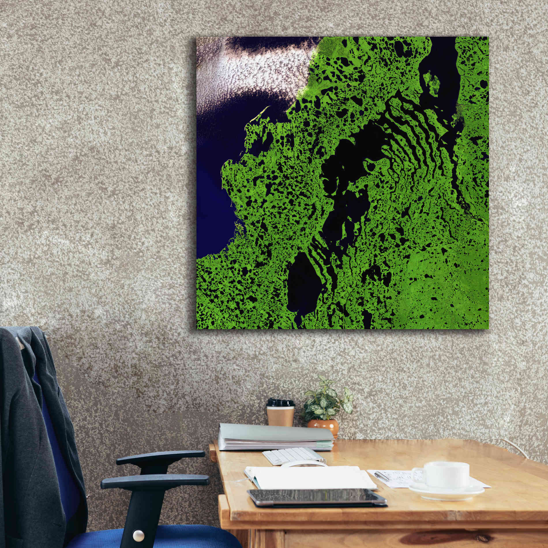 'Earth as Art: Remote Tundra,' Canvas Wall Art,37 x 37
