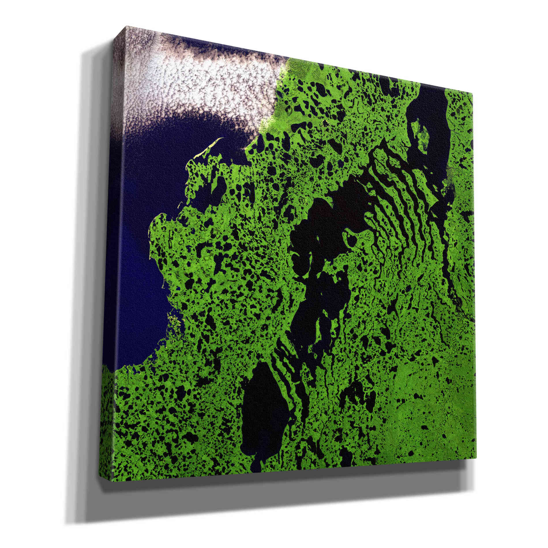 'Earth as Art: Remote Tundra,' Canvas Wall Art,12x12x1.1x0,18x18x1.1x0,26x26x1.74x0,37x37x1.74x0