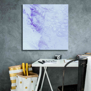 'Earth as Art: Robinson Glacier,' Canvas Wall Art,26 x 26