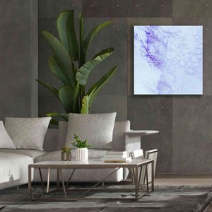 'Earth as Art: Robinson Glacier,' Canvas Wall Art,37 x 37