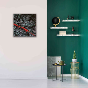 'Earth as Art: Rocky Mountain Trench,' Canvas Wall Art,26 x 26