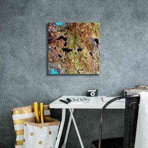 'Earth as Art: Roof of the World,' Canvas Wall Art,18 x 18