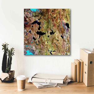 'Earth as Art: Roof of the World,' Canvas Wall Art,18 x 18