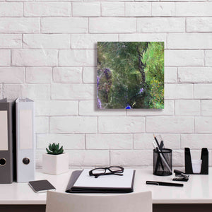 'Earth as Art: San Luis,' Canvas Wall Art,12 x 12