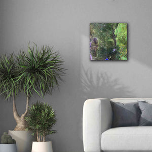 'Earth as Art: San Luis,' Canvas Wall Art,18 x 18