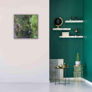 'Earth as Art: San Luis,' Canvas Wall Art,26 x 26