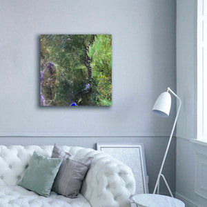 'Earth as Art: San Luis,' Canvas Wall Art,37 x 37