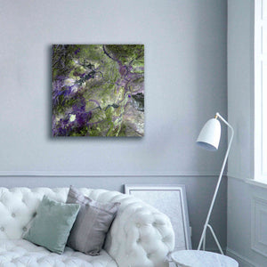 'Earth as Art: Waziristan Hills,' Canvas Wall Art,37 x 37