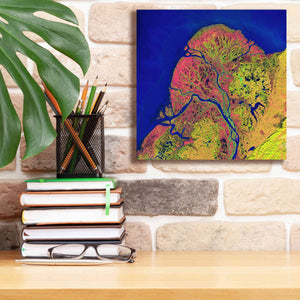 'Earth as Art: Yukon Delta,' Canvas Wall Art,12 x 12