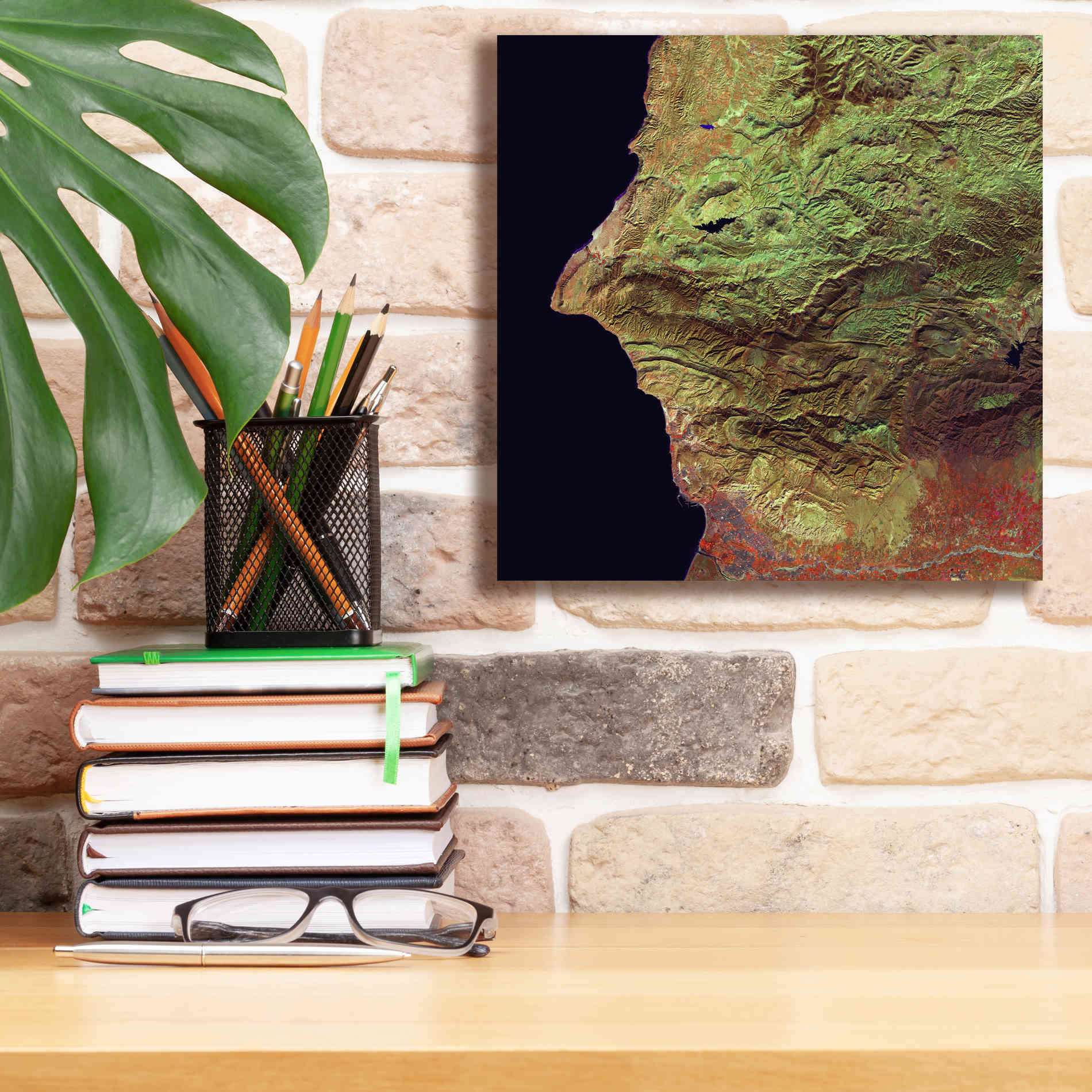 'Earth as Art: Earth Selfie,' Canvas Wall Art,12 x 12