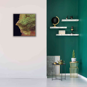 'Earth as Art: Earth Selfie,' Canvas Wall Art,26 x 26
