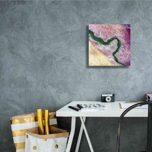 'Earth as Art: Life Along the Nile,' Canvas Wall Art,12 x 12