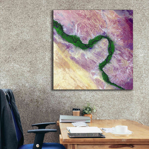'Earth as Art: Life Along the Nile,' Canvas Wall Art,37 x 37