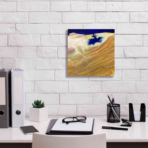 'Earth as Art: Ink Stain,' Canvas Wall Art,12 x 12