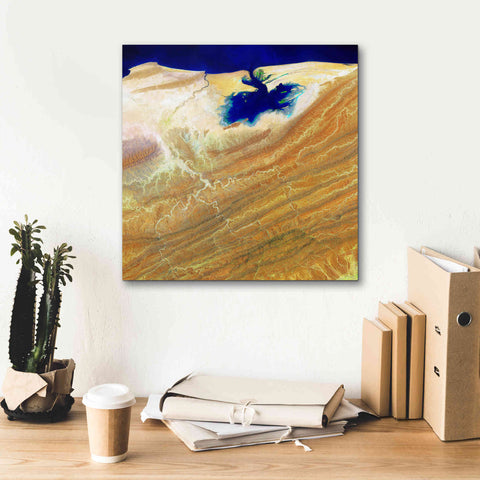 Image of 'Earth as Art: Ink Stain,' Canvas Wall Art,18 x 18