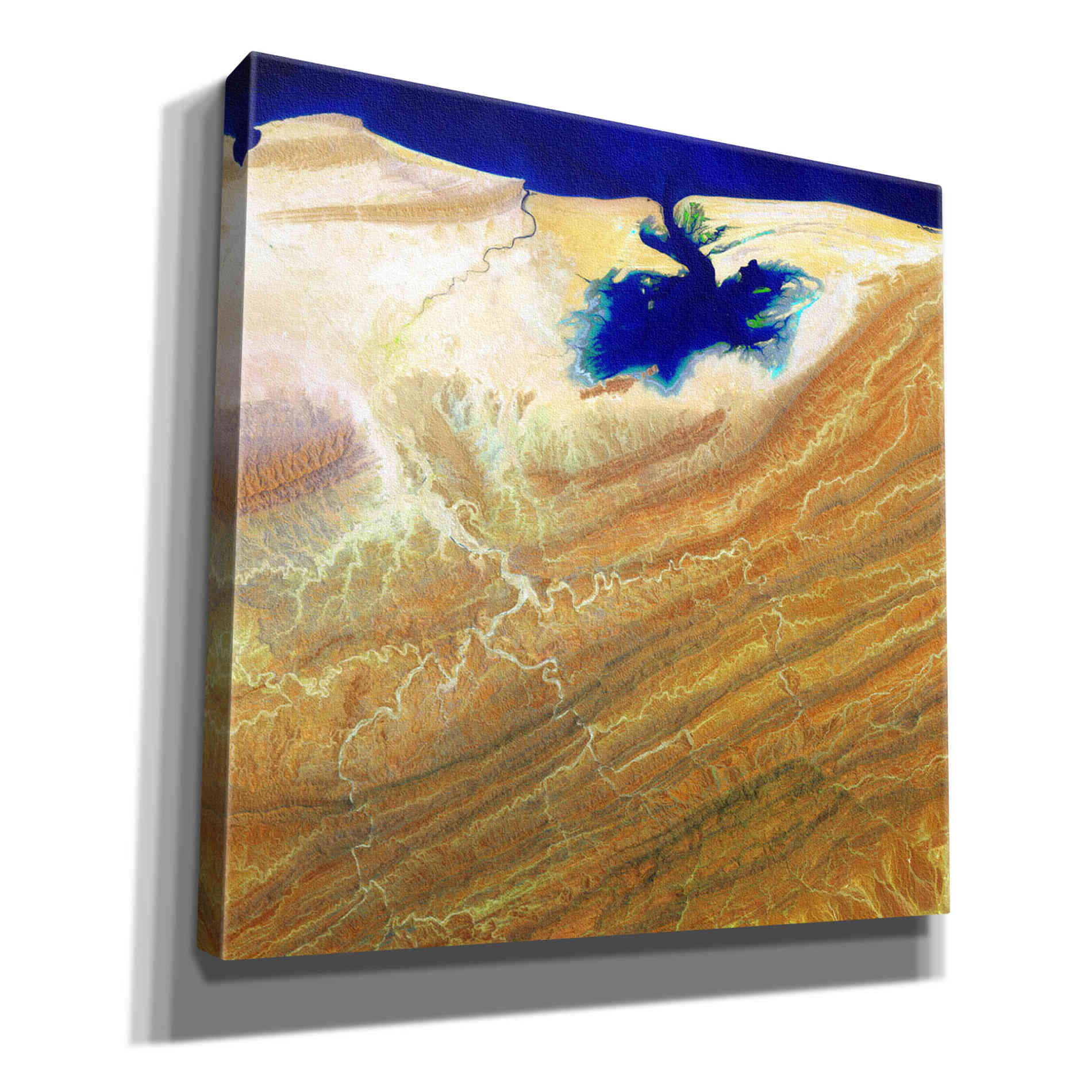 'Earth as Art: Ink Stain,' Canvas Wall Art,12x12x1.1x0,18x18x1.1x0,26x26x1.74x0,37x37x1.74x0