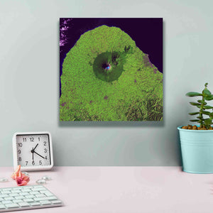 'Earth as Art: Mount Taranaki,' Canvas Wall Art,12 x 12