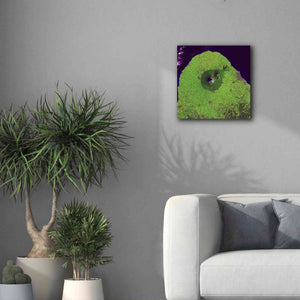 'Earth as Art: Mount Taranaki,' Canvas Wall Art,18 x 18