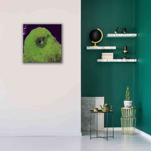 'Earth as Art: Mount Taranaki,' Canvas Wall Art,26 x 26