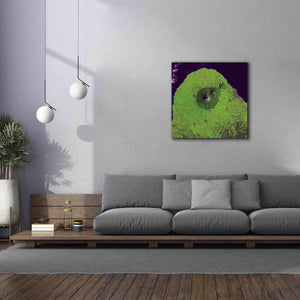 'Earth as Art: Mount Taranaki,' Canvas Wall Art,37 x 37