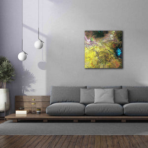 'Earth as Art: Canyonlands,' Canvas Wall Art,37 x 37