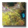'Earth as Art: Canyonlands,' Canvas Wall Art,12x12x1.1x0,18x18x1.1x0,26x26x1.74x0,37x37x1.74x0