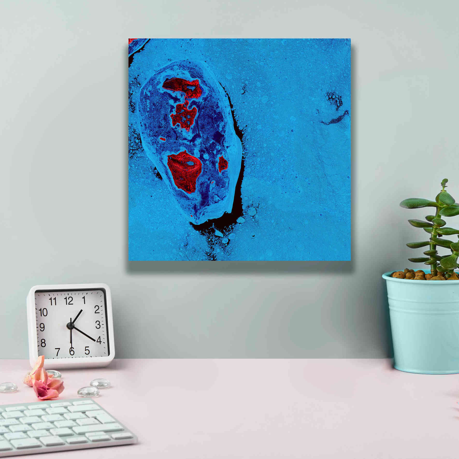 'Earth as Art: Cellular Ice,' Canvas Wall Art,12 x 12