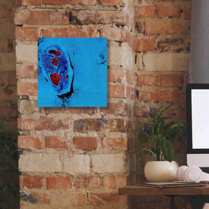 'Earth as Art: Cellular Ice,' Canvas Wall Art,12 x 12