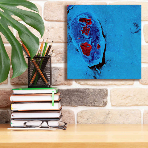 Image of 'Earth as Art: Cellular Ice,' Canvas Wall Art,12 x 12