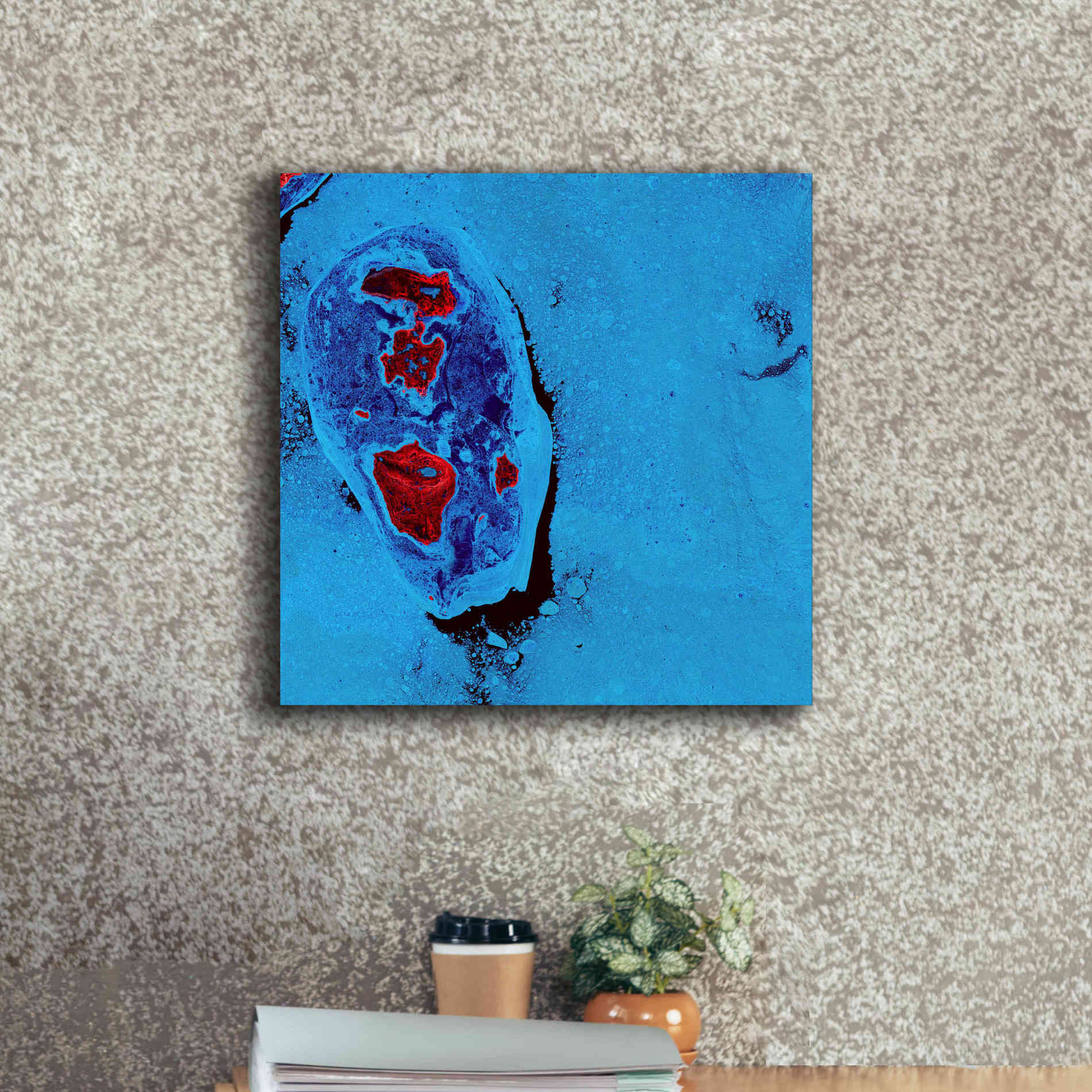 'Earth as Art: Cellular Ice,' Canvas Wall Art,18 x 18