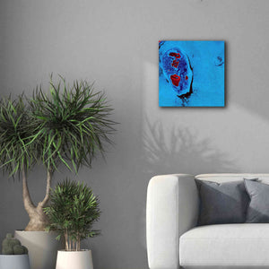 'Earth as Art: Cellular Ice,' Canvas Wall Art,18 x 18