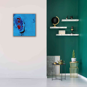 'Earth as Art: Cellular Ice,' Canvas Wall Art,26 x 26
