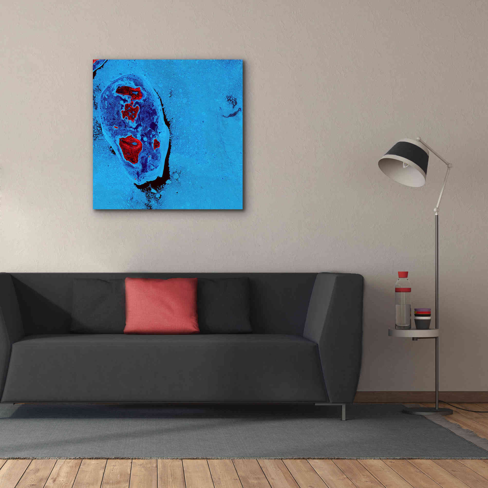 'Earth as Art: Cellular Ice,' Canvas Wall Art,37 x 37