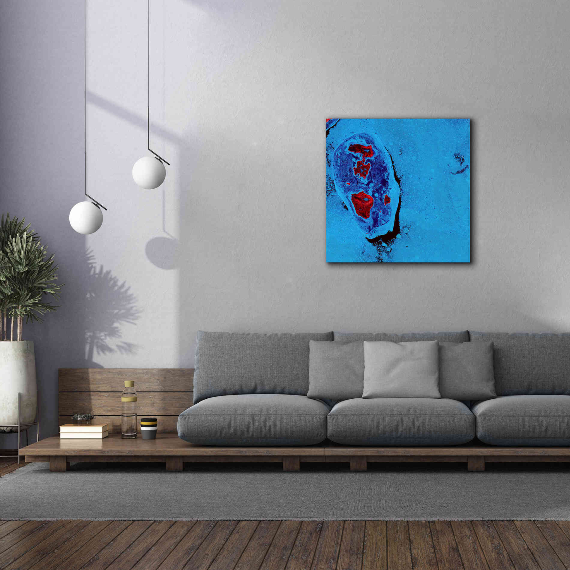 'Earth as Art: Cellular Ice,' Canvas Wall Art,37 x 37