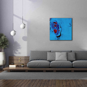 'Earth as Art: Cellular Ice,' Canvas Wall Art,37 x 37