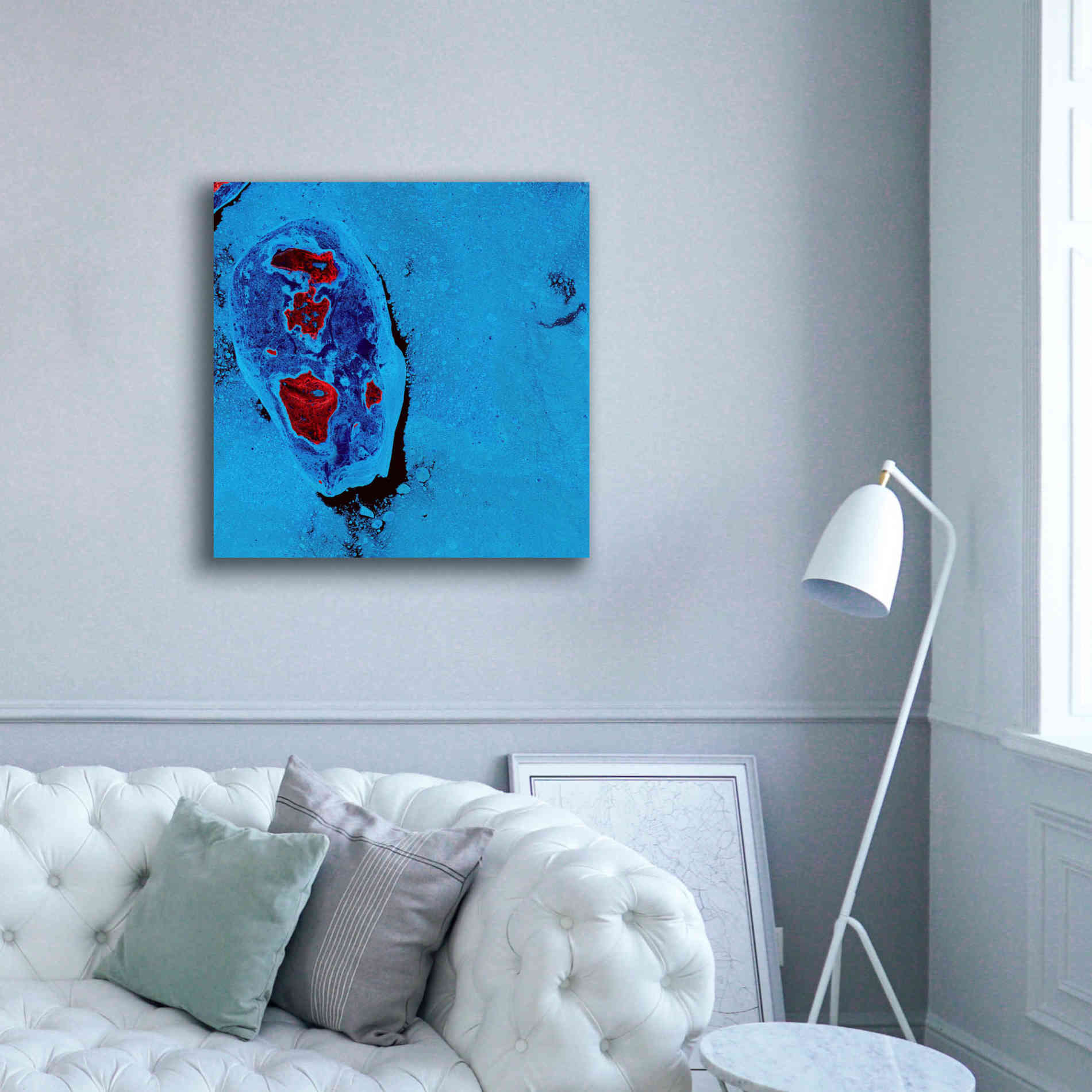 'Earth as Art: Cellular Ice,' Canvas Wall Art,37 x 37