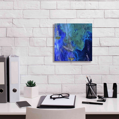 Image of 'Earth as Art: Earth's Aquarium,' Canvas Wall Art,12 x 12