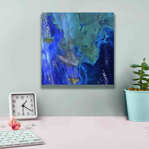 'Earth as Art: Earth's Aquarium,' Canvas Wall Art,12 x 12