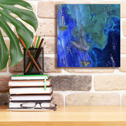 Image of 'Earth as Art: Earth's Aquarium,' Canvas Wall Art,12 x 12