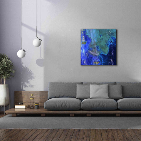 Image of 'Earth as Art: Earth's Aquarium,' Canvas Wall Art,37 x 37