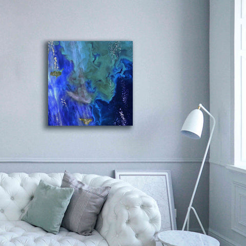 Image of 'Earth as Art: Earth's Aquarium,' Canvas Wall Art,37 x 37