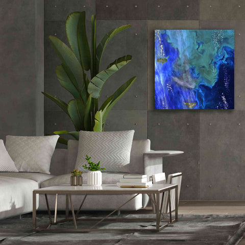 Image of 'Earth as Art: Earth's Aquarium,' Canvas Wall Art,37 x 37