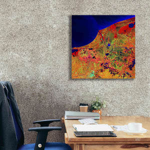 'Earth as Art: Mexico's Biosphere,' Canvas Wall Art,26 x 26