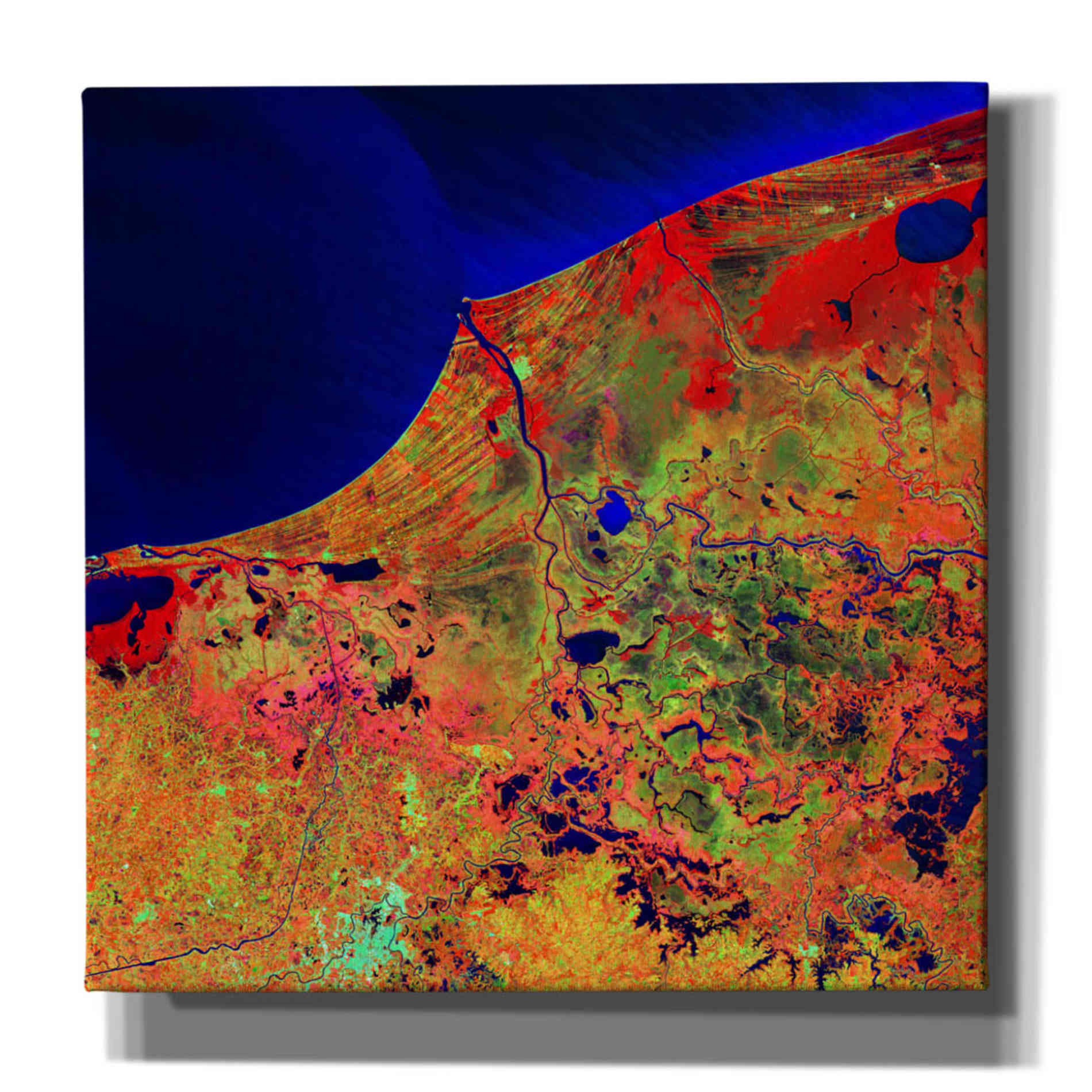 'Earth as Art: Mexico's Biosphere,' Canvas Wall Art,12x12x1.1x0,18x18x1.1x0,26x26x1.74x0,37x37x1.74x0