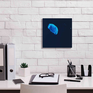 'Earth as Art: Scorpion Reef,' Canvas Wall Art,12 x 12