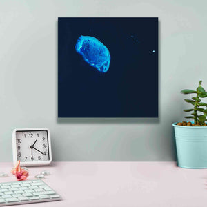 'Earth as Art: Scorpion Reef,' Canvas Wall Art,12 x 12