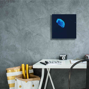 'Earth as Art: Scorpion Reef,' Canvas Wall Art,12 x 12