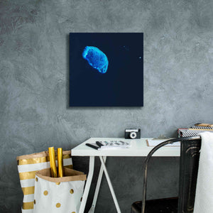 'Earth as Art: Scorpion Reef,' Canvas Wall Art,18 x 18