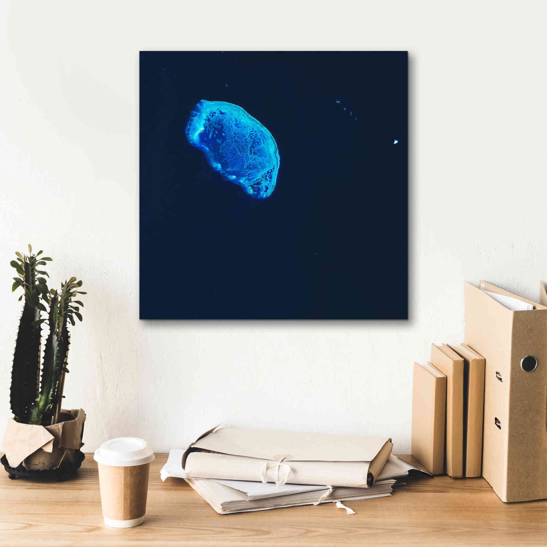 'Earth as Art: Scorpion Reef,' Canvas Wall Art,18 x 18