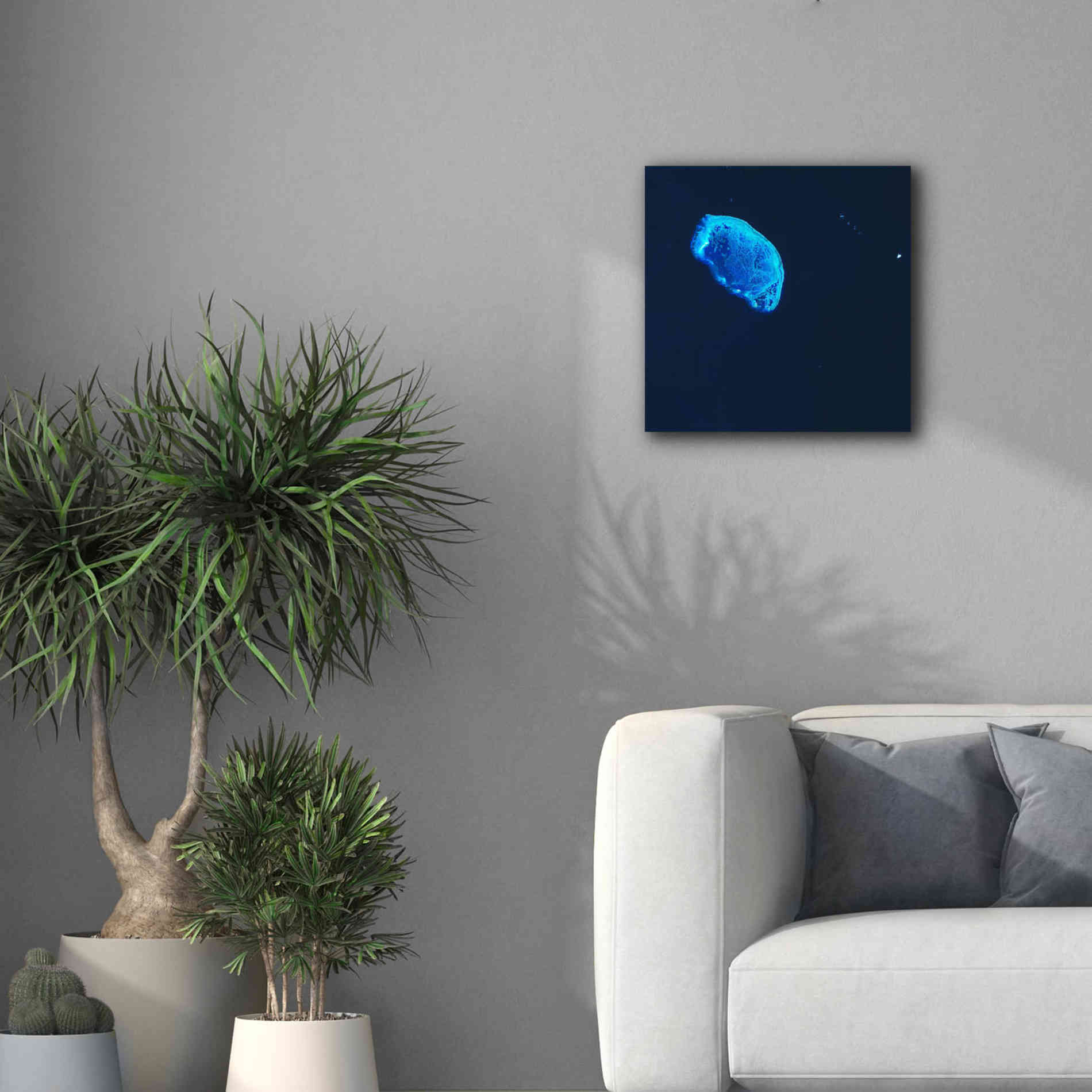 'Earth as Art: Scorpion Reef,' Canvas Wall Art,18 x 18
